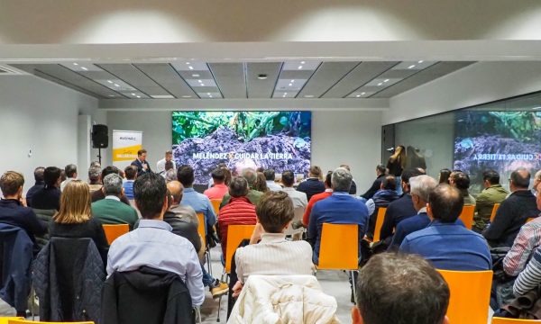 Reunión Formación y Profesionalización