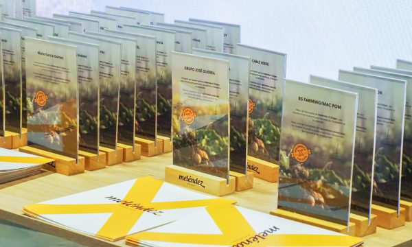 Reunión Formación y Profesionalización