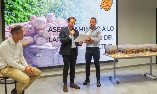 Reunión Formación y Profesionalización