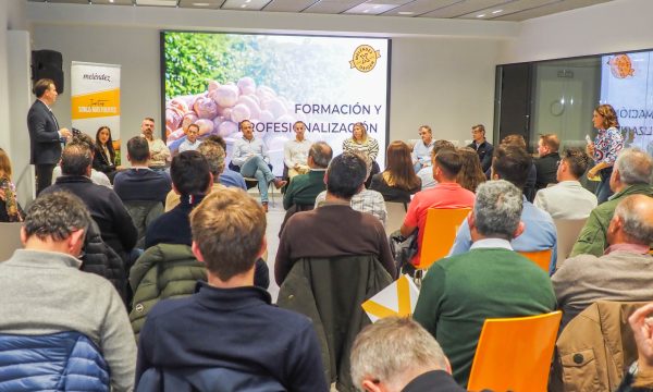 Reunión Formación y Profesionalización