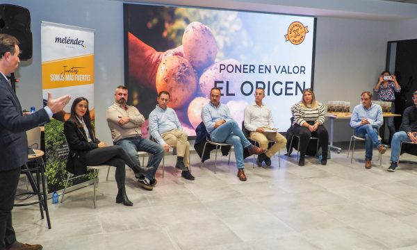 Reunión Formación y Profesionalización