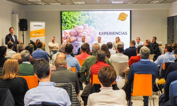 Reunión Formación y Profesionalización