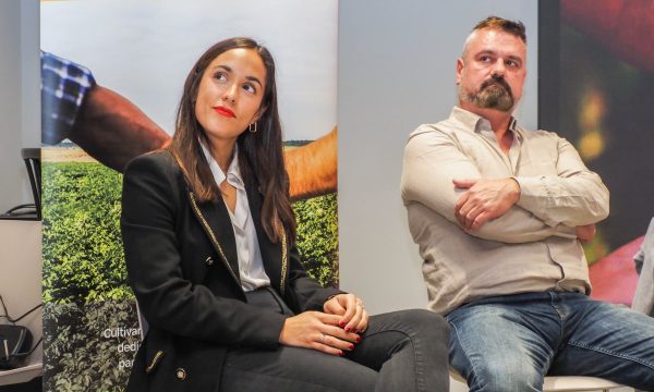 Reunión Formación y Profesionalización