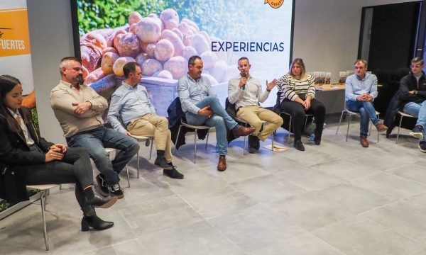 Reunión Formación y Profesionalización