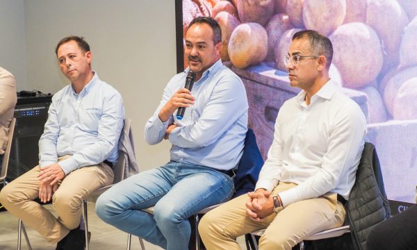 Reunión Formación y Profesionalización