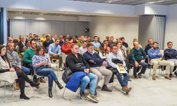 Reunión Formación y Profesionalización