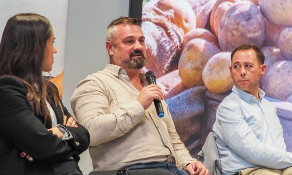 Reunión Formación y Profesionalización