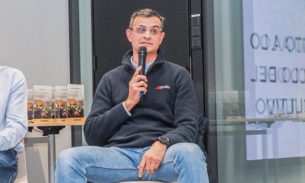 Reunión Formación y Profesionalización