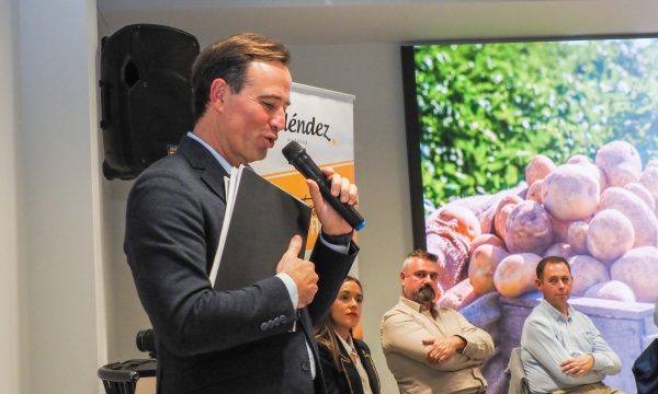 Reunión Formación y Profesionalización