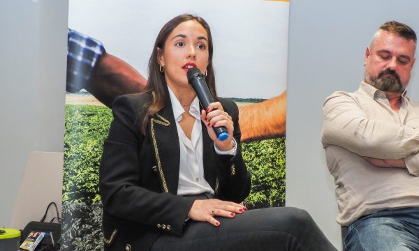 Reunión Formación y Profesionalización