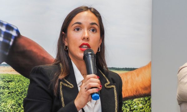 Reunión Formación y Profesionalización