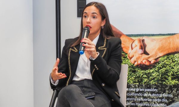 Reunión Formación y Profesionalización