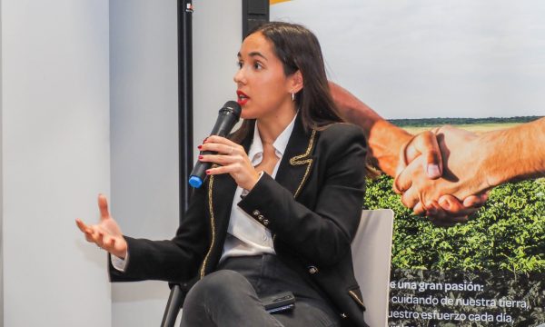 Reunión Formación y Profesionalización