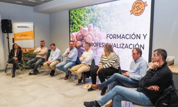Reunión Formación y Profesionalización
