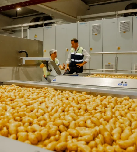Fábrica de patatas